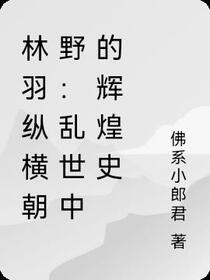 林羽纵横朝野：乱世中的辉煌史