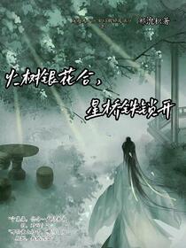 火树银花合，星桥铁锁开