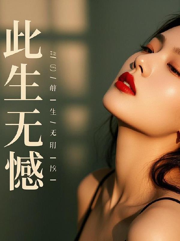 仕途之此生无憾